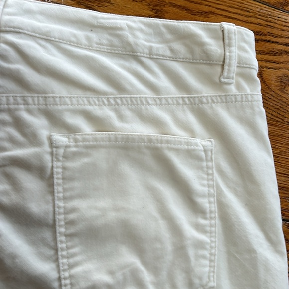 Talbots Velveteen Staight Leg Pant,cream color velvet feel fabric.Size 16 Petite - Picture 7 of 11